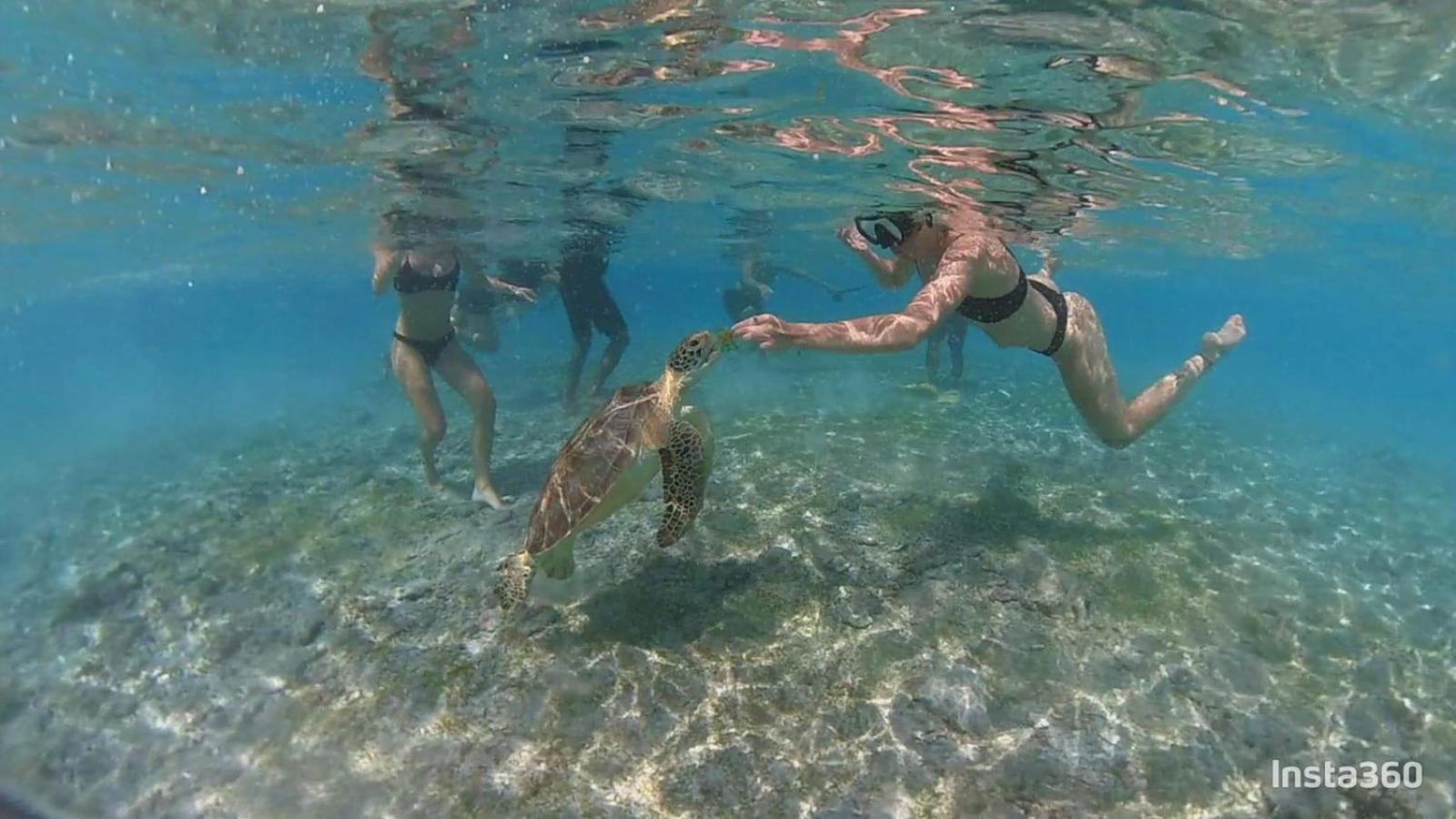 Living Trawangan Hotel Gili Trawangan Zewnętrze zdjęcie